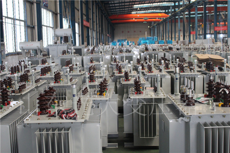 鱼台S22-800KVA/10KV
